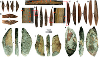 На Шри-Ланке обнаружили наконечники стрел возрастом 48 тыс. лет