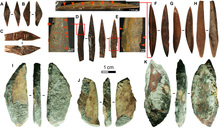 На Шри-Ланке обнаружили наконечники стрел возрастом 48 тыс. лет